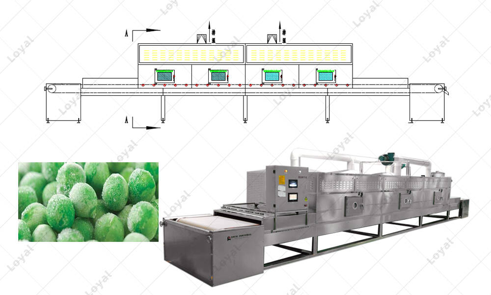 CAD of Industrial Microwave Frozen Fruit Thawing process line