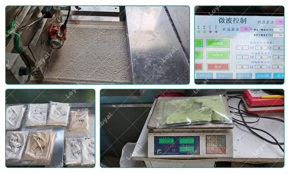 Dehydrated Vegetables Powder Microwave Sterilization Machine In Production Workshop