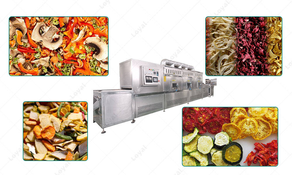 Application of Fruit and Vegetable Continuous Microwave Sterilizer in Manufacturer
