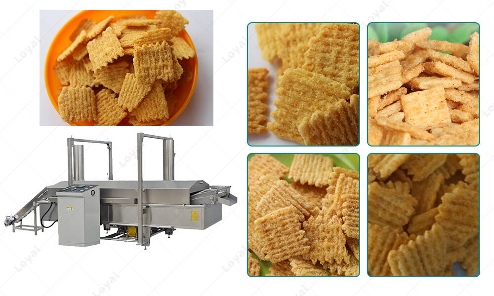 Application of Industrial salad snack frying machine