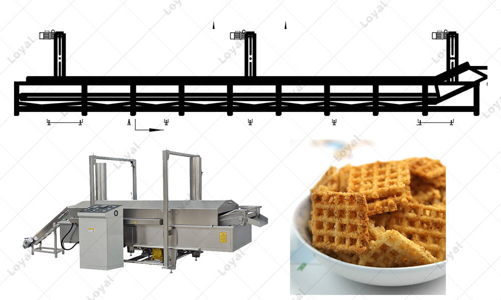CAD of industrial salad snack fryer  Production equipment