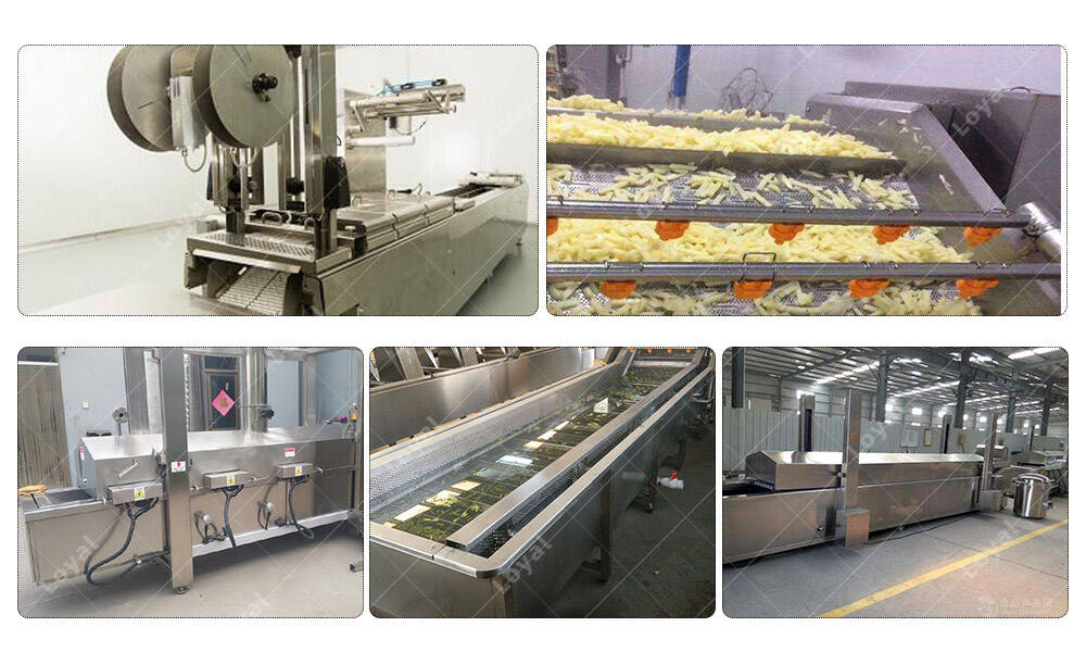 Onion Belt Fryer Machine Workshop production line