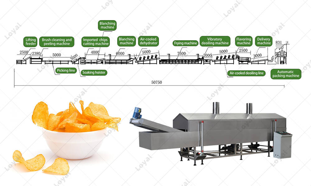 Structures Of The Automatic Potato Chips Continuous Frying processing line