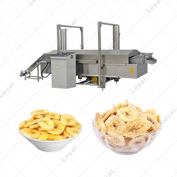 Hot sales Industry Banana Chips Frying Machine Continuous Fryer Machine