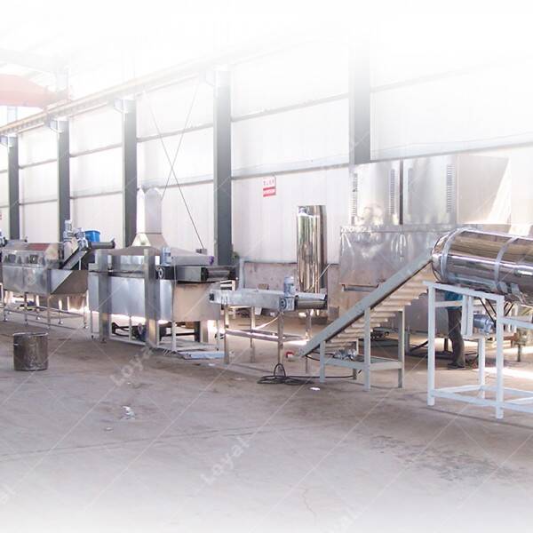 Continuous Stainless Steel Potato Chips Industrial Fryer Machine