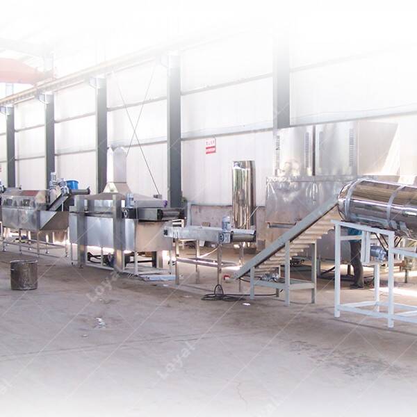 Batch Type Fryer Machine - Industrial Frying Machine Manufacturer