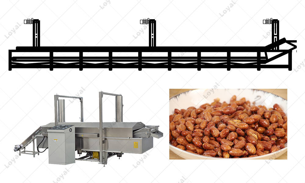CAD Of Automatic Peanut Fryer Processing Line