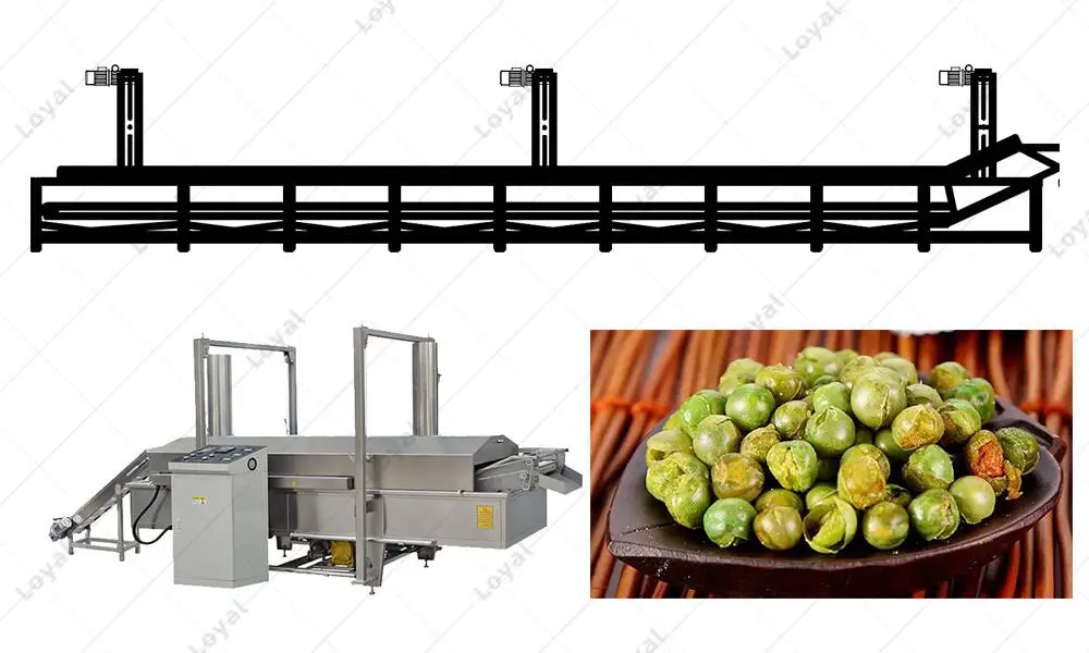 CAD of Industrial Continuous Green Beans Fryers Production equipment