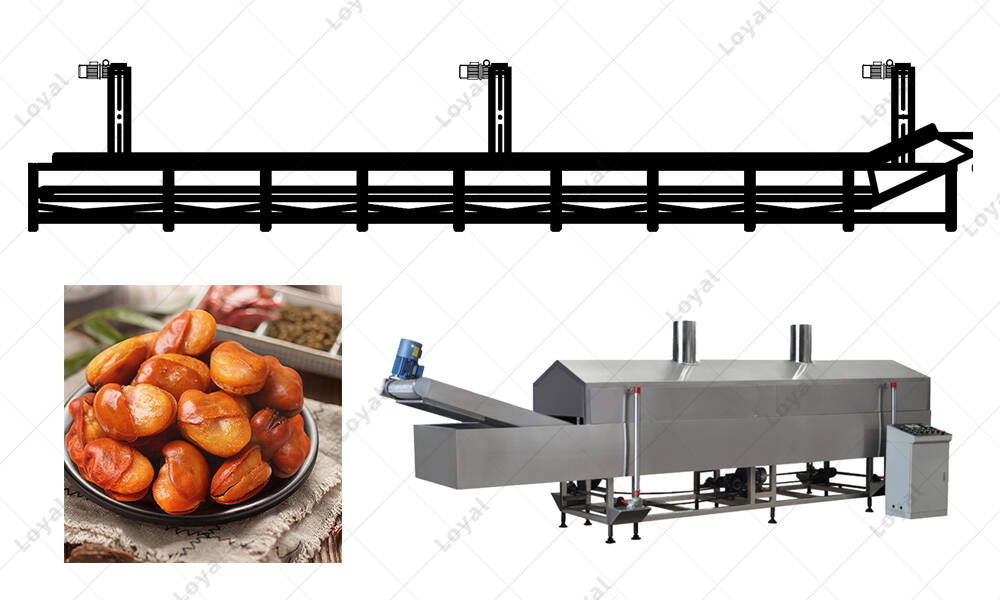 Layout of tainless steel Commercial orchid beans frying processing line