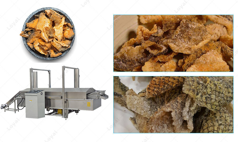 Applications of Stainless Steel Fish Skin Fryer  Machine in Manufacturers