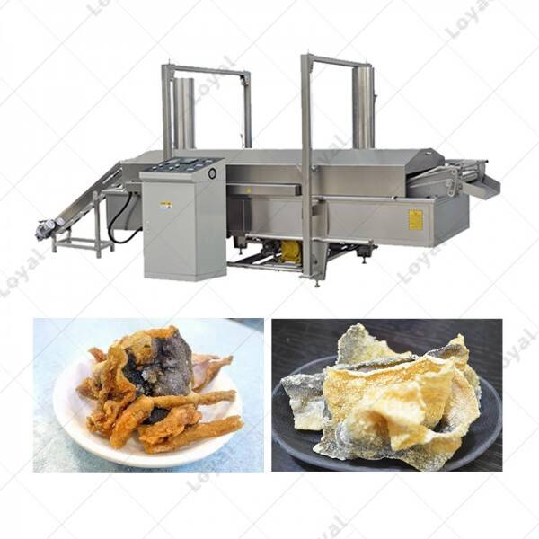 Stainless Steel Continuous Fish Skin Fryer Machine