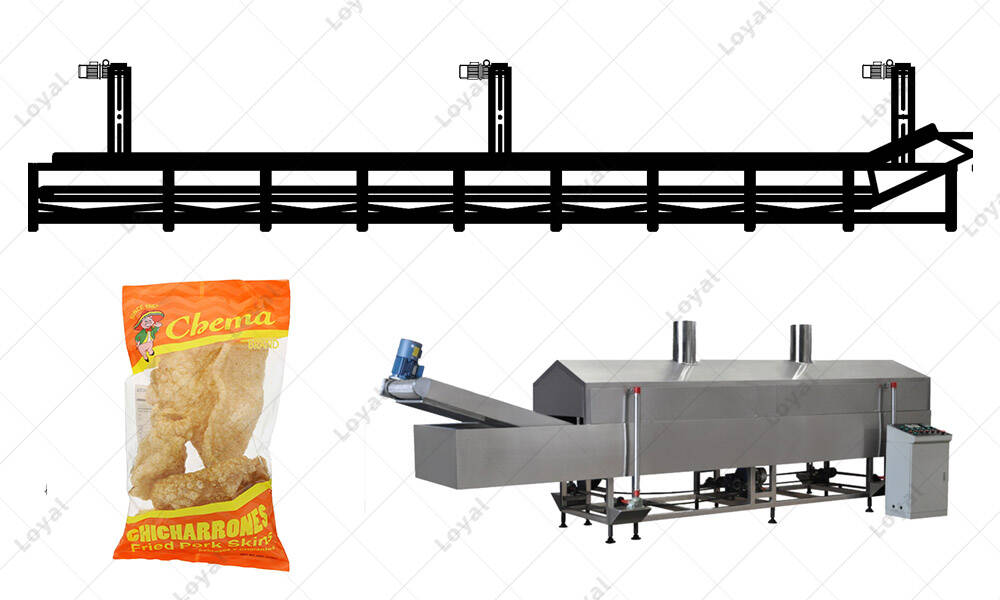 CAD Of Stainless Steel Pork Rinds Frying processing line