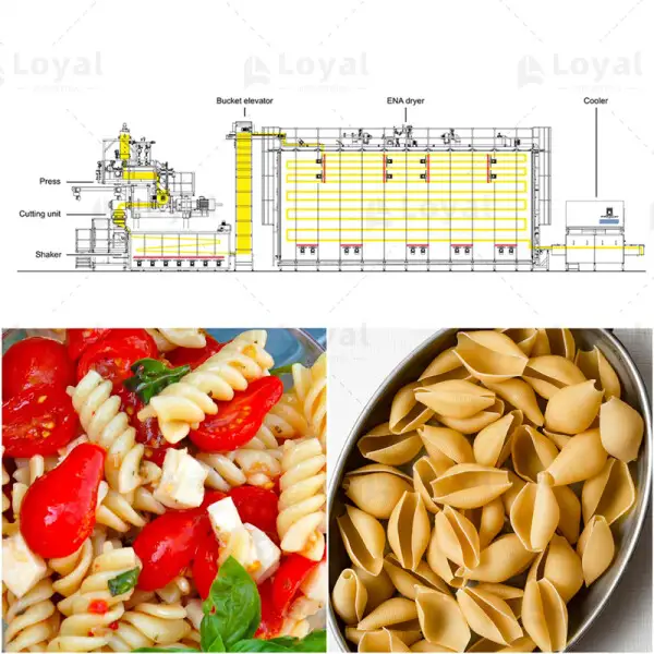 PLC Control Vacuum Pasta Production Line