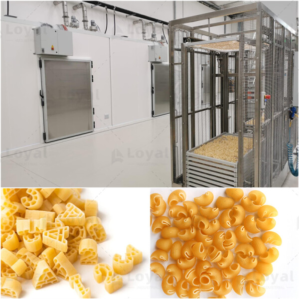 Fully Automatic Vacuum Pasta Processing Line